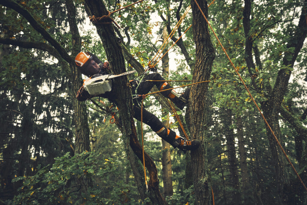 Motosierra STIHL MSA 190 T, espada 30 cm
