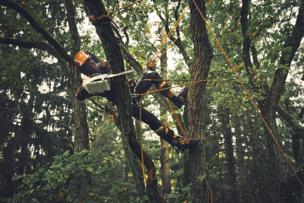 Motosierra STIHL MSA 190 T, espada 30 cm: imagen 6