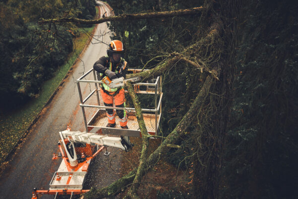 Motosierra STIHL MSA 190 T, espada 30 cm: imagen 7