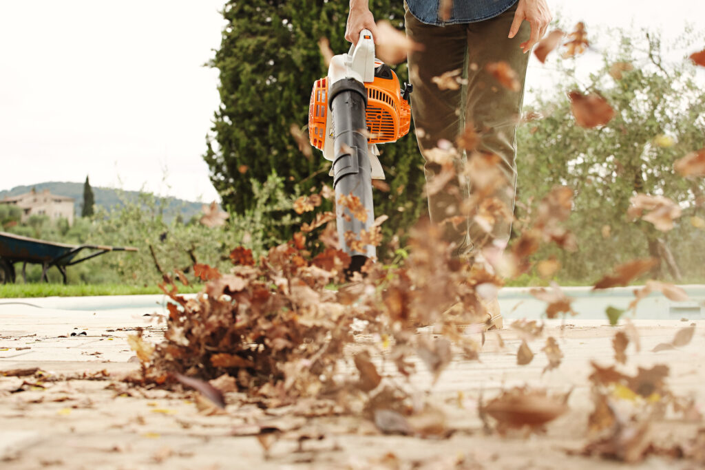 Soplador STIHL BG 56