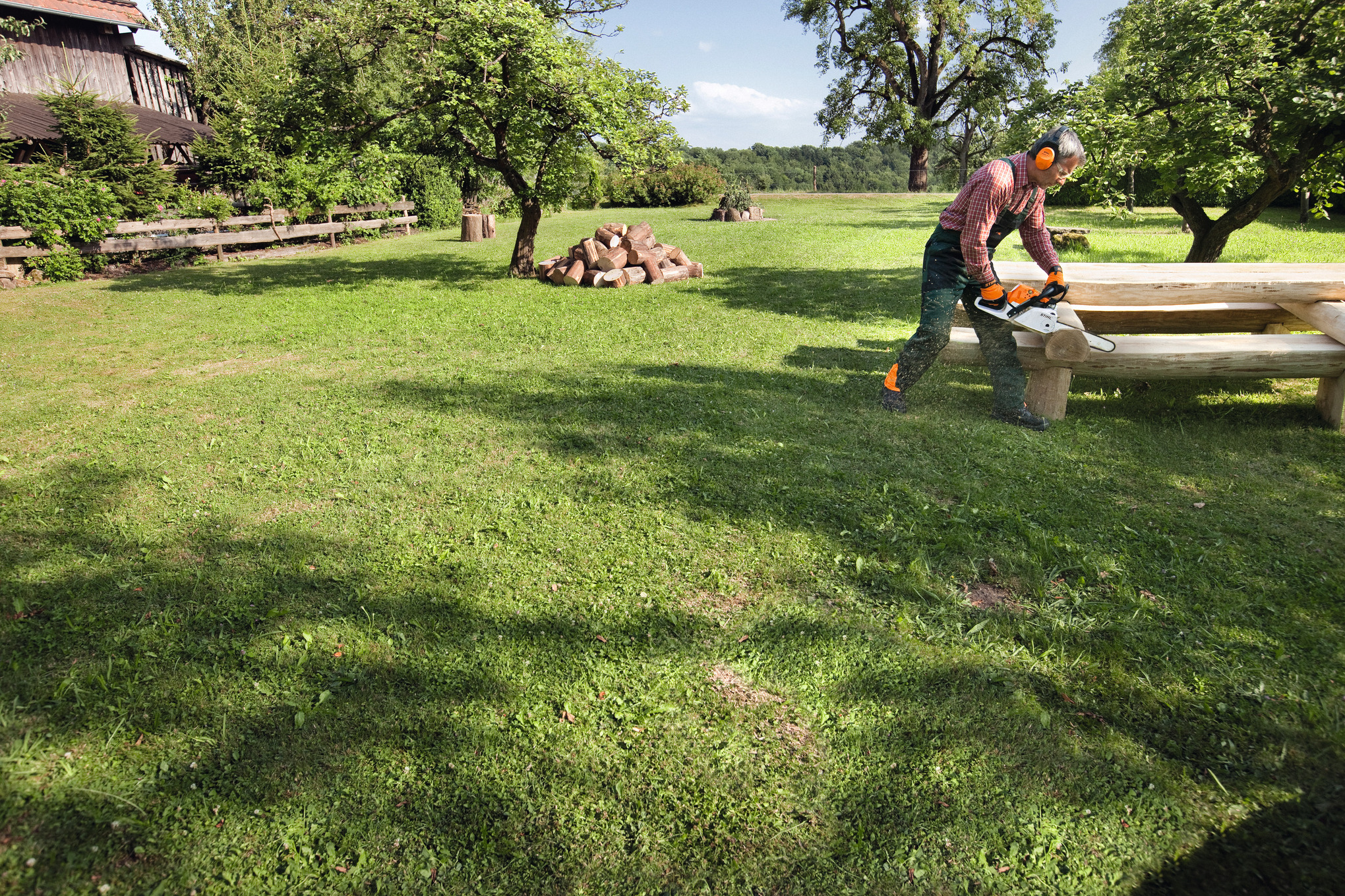 Motosierra STIHL MS 231: imagen 5