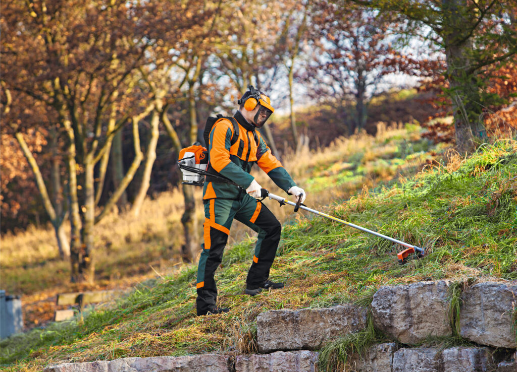 Desbrozadora STIHL FR 460 TC-EFM