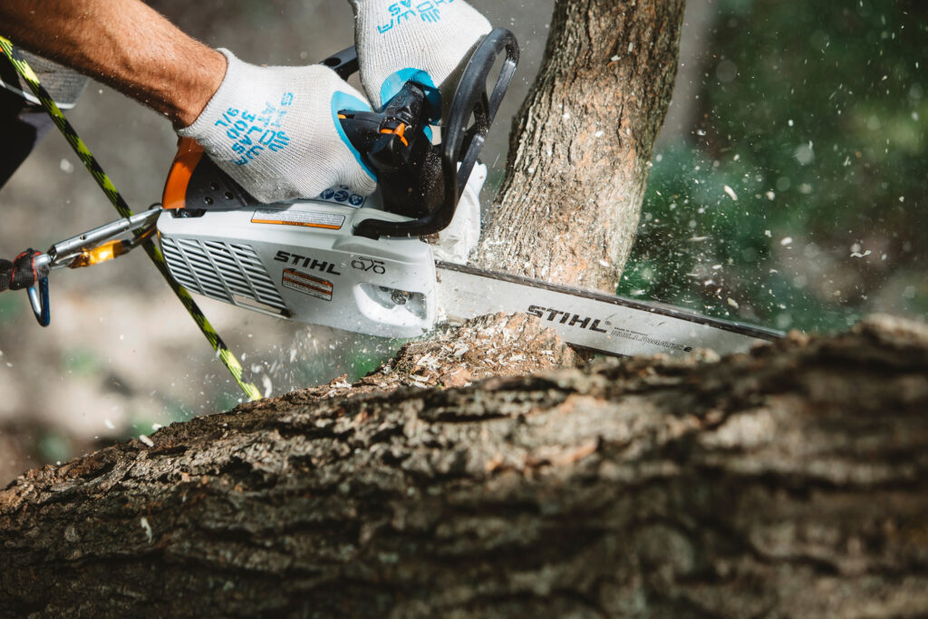 Motosierra STIHL MS 194 T, detalle 2