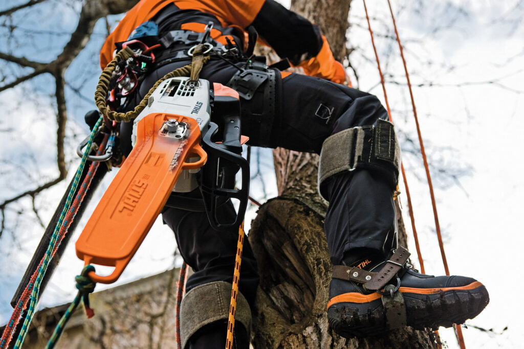 Motosierra STIHL MS 201 TC-M, detalle 1