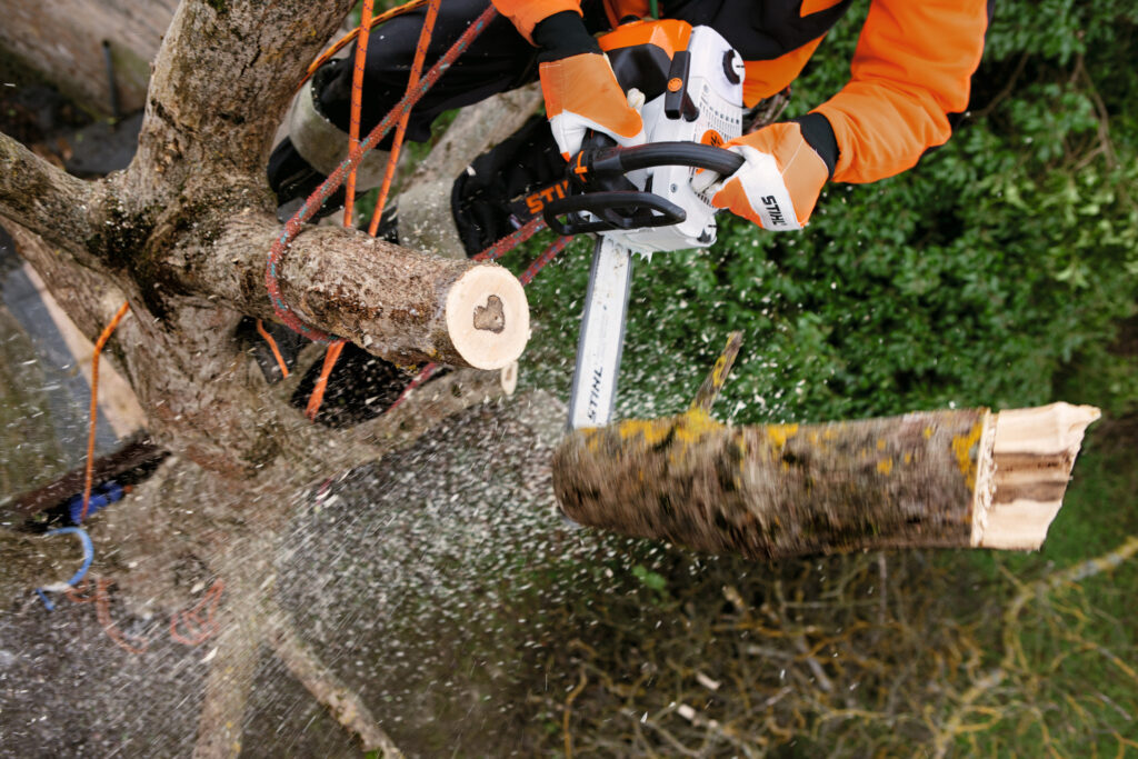 Motosierra STIHL MS 201 TC-M, detalle 2