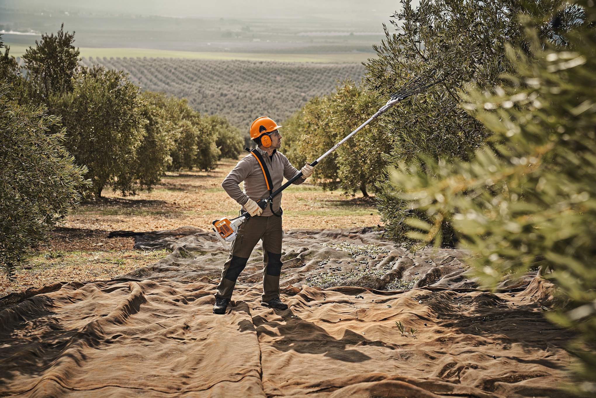 Vareador STIHL SP 92: imagen 2