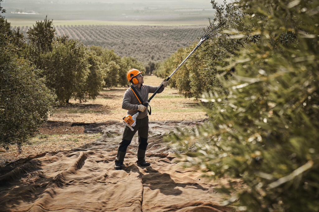Vareador STIHL SP 92
