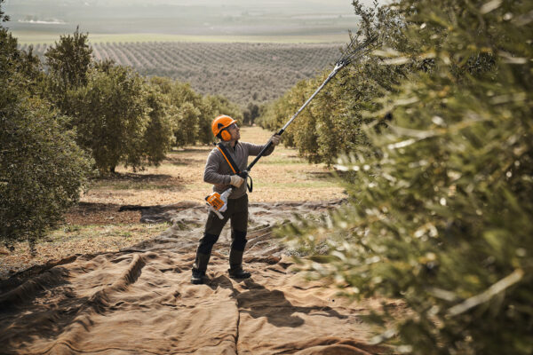 Vareador STIHL SP 92: imagen 4