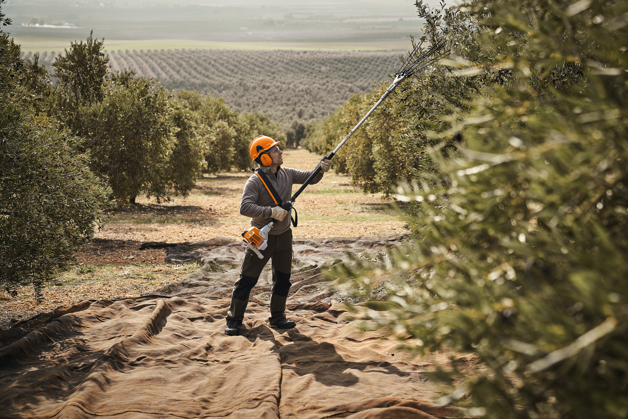 Vareador STIHL SP 92: imagen 4
