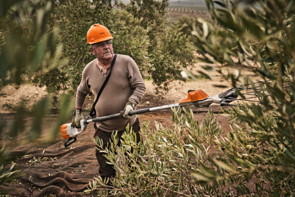 Vareador STIHL SP 92: imagen 5
