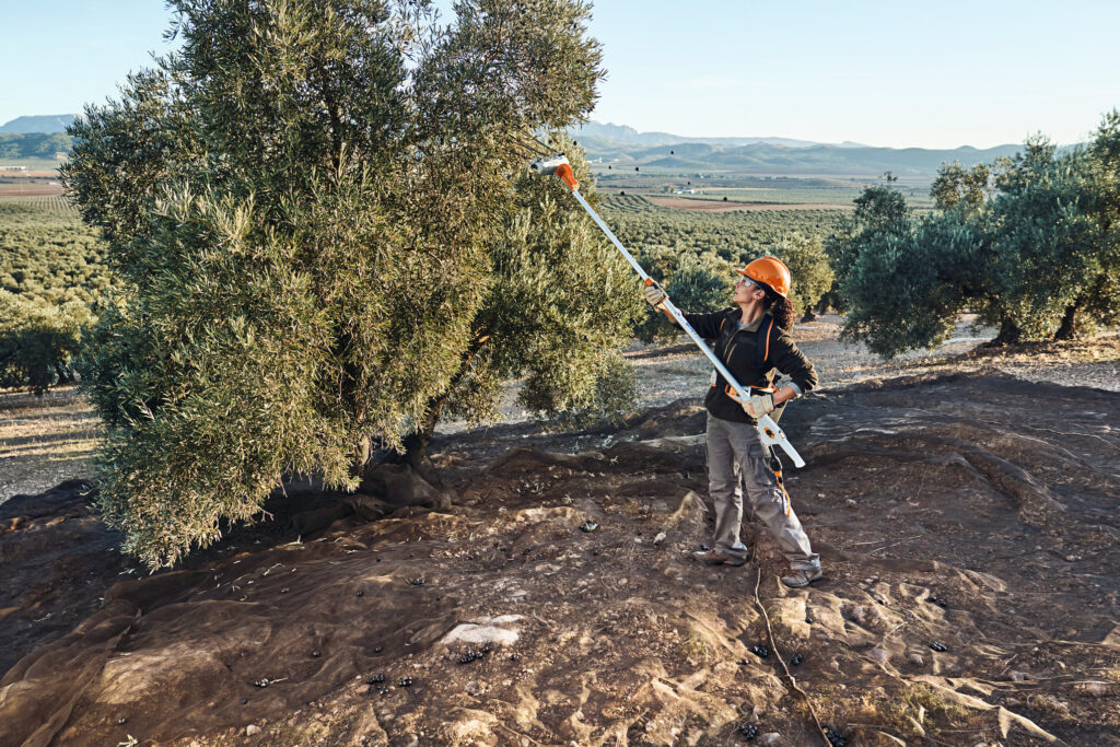 Vareador STIHL SPA 140 — Kit con AP 300 P y AL 101