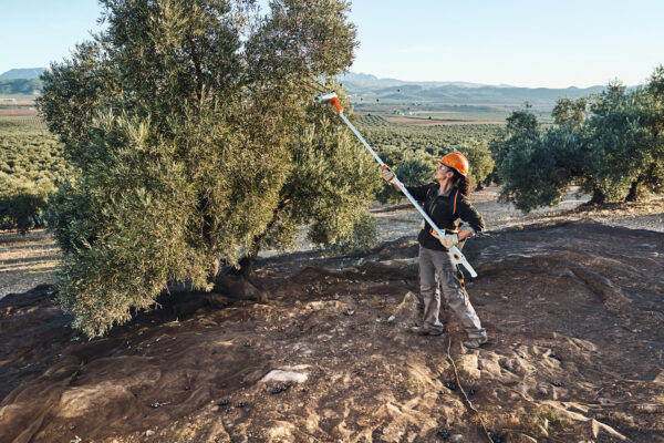 Vareador STIHL SPA 140 — Kit con AP 300 P y AL 101: imagen 3