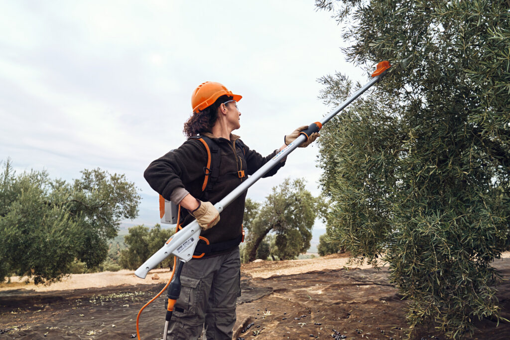 Vareador STIHL SPA 140 — Kit con AP 300 P y AL 101